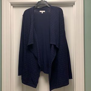 Chaus NWT Sz L Navy sweater long sleeve